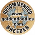 recommended golden doodle breeder