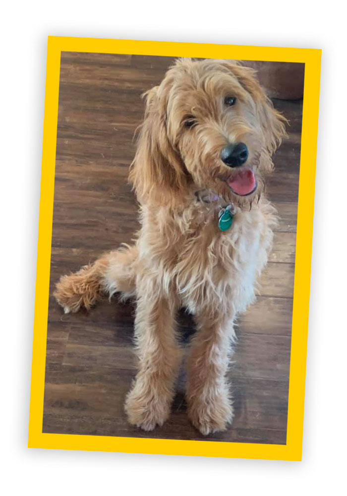 Delilah-from-Houston-and-Maple2